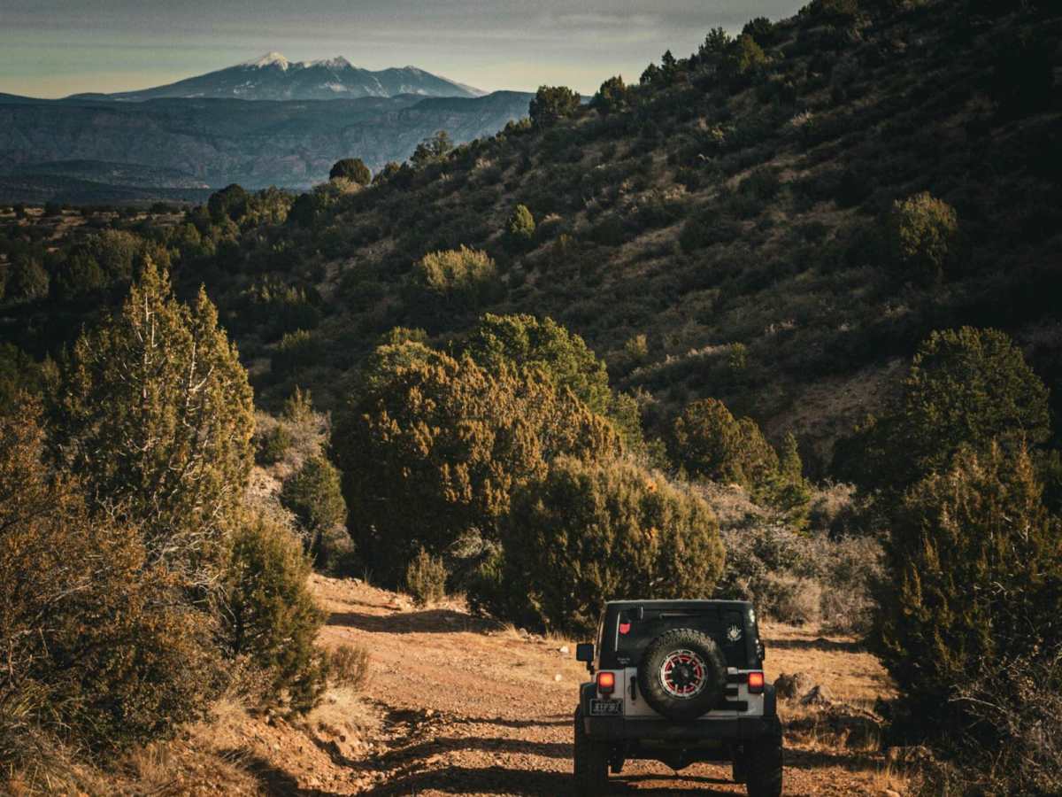 Backway to Williams - Jerome Trail trail photo