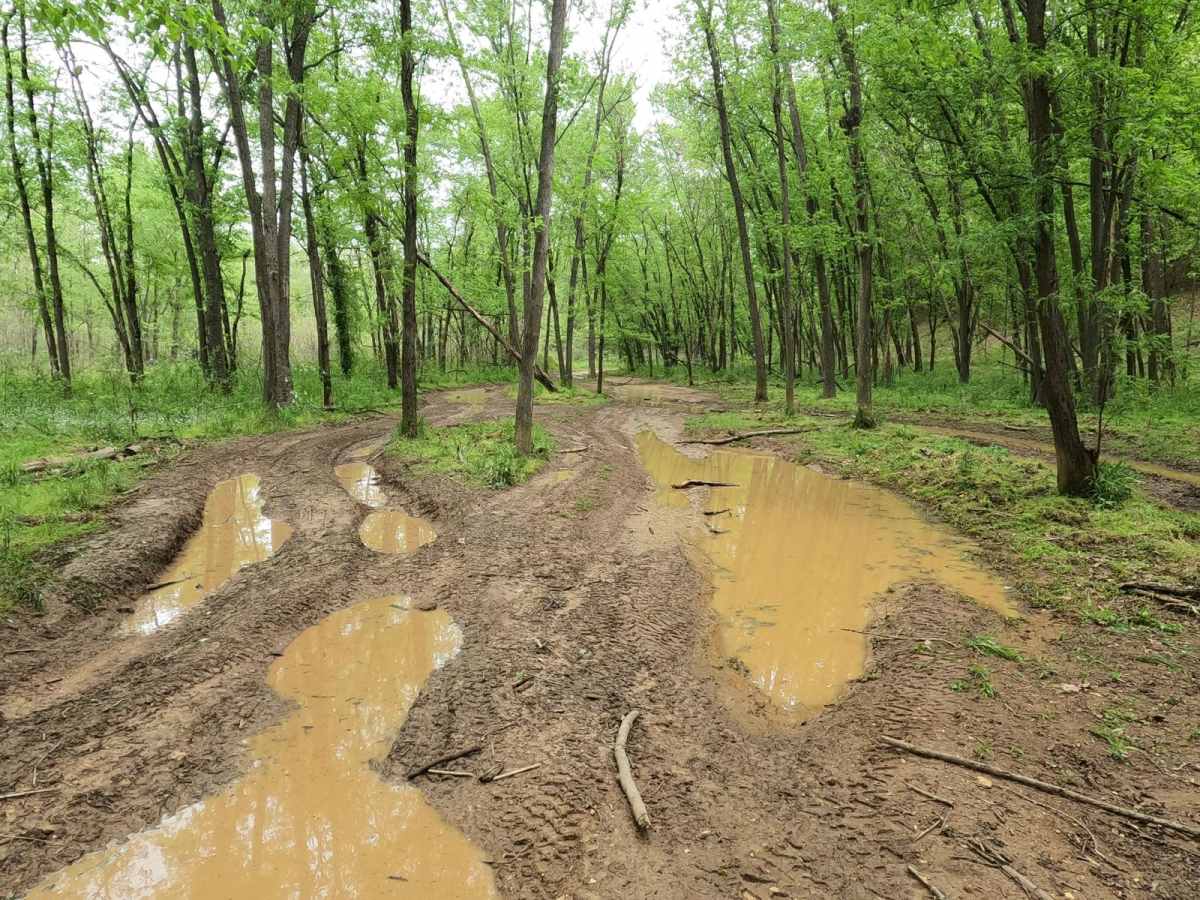 Dafron Branch Trail photo 3