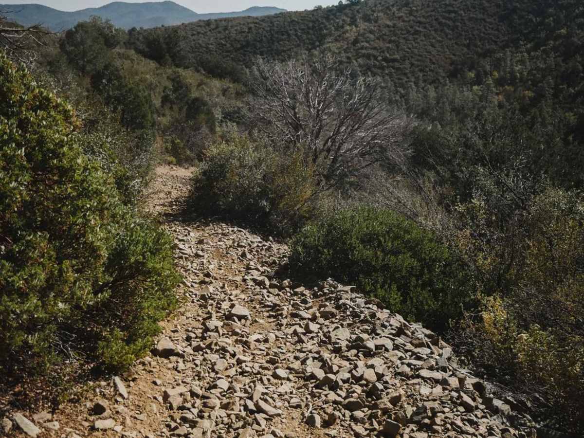 Seven Mile Gulch photo 2