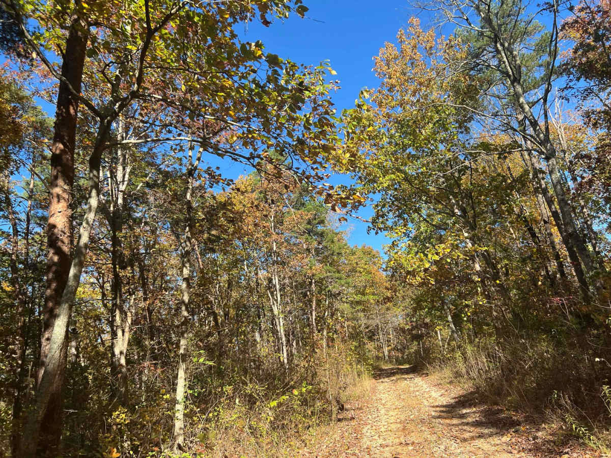 Flat Mountain Road - FS 270C photo 3