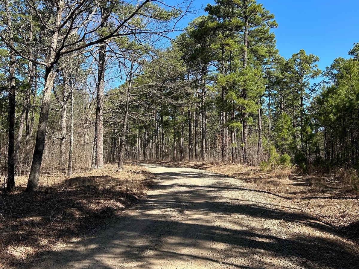 Woods Mountain Road trail photo