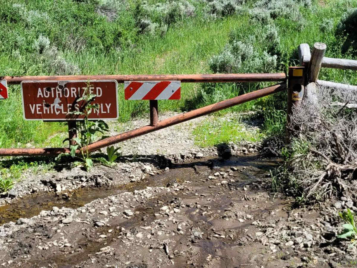 Hickman Canyon Road photo 3