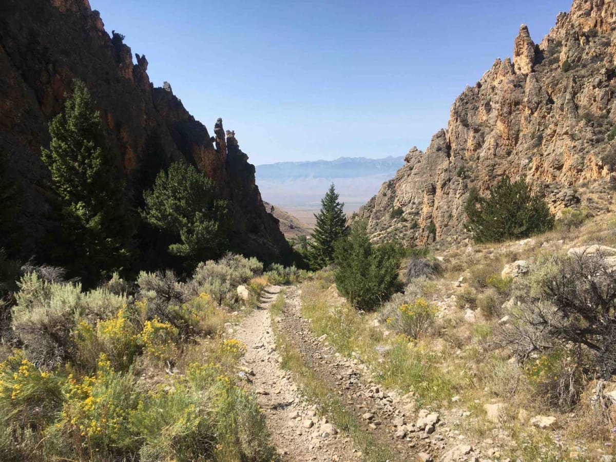 North Creek Trail photo 3