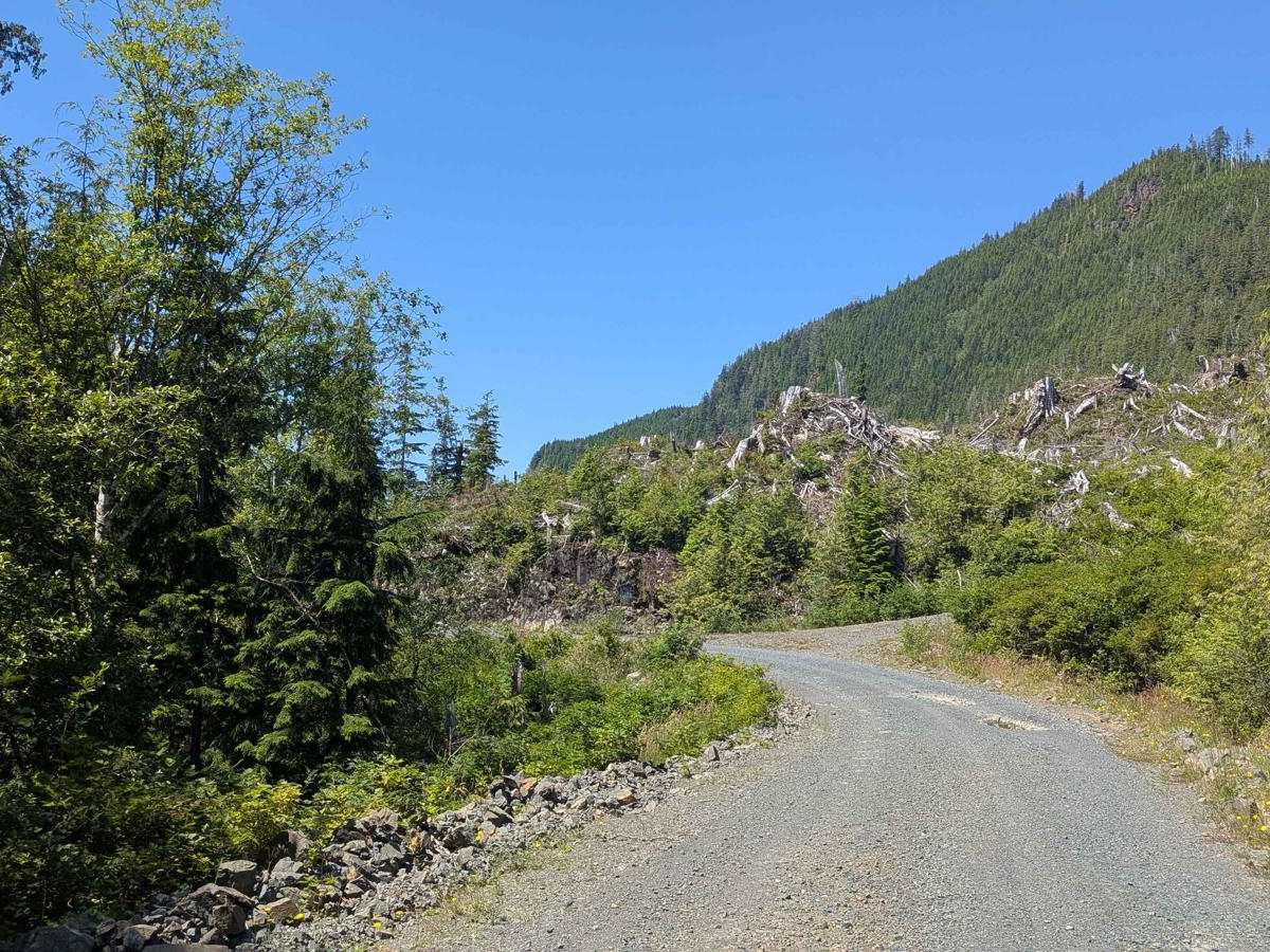 Klaskino Inlet trail photo