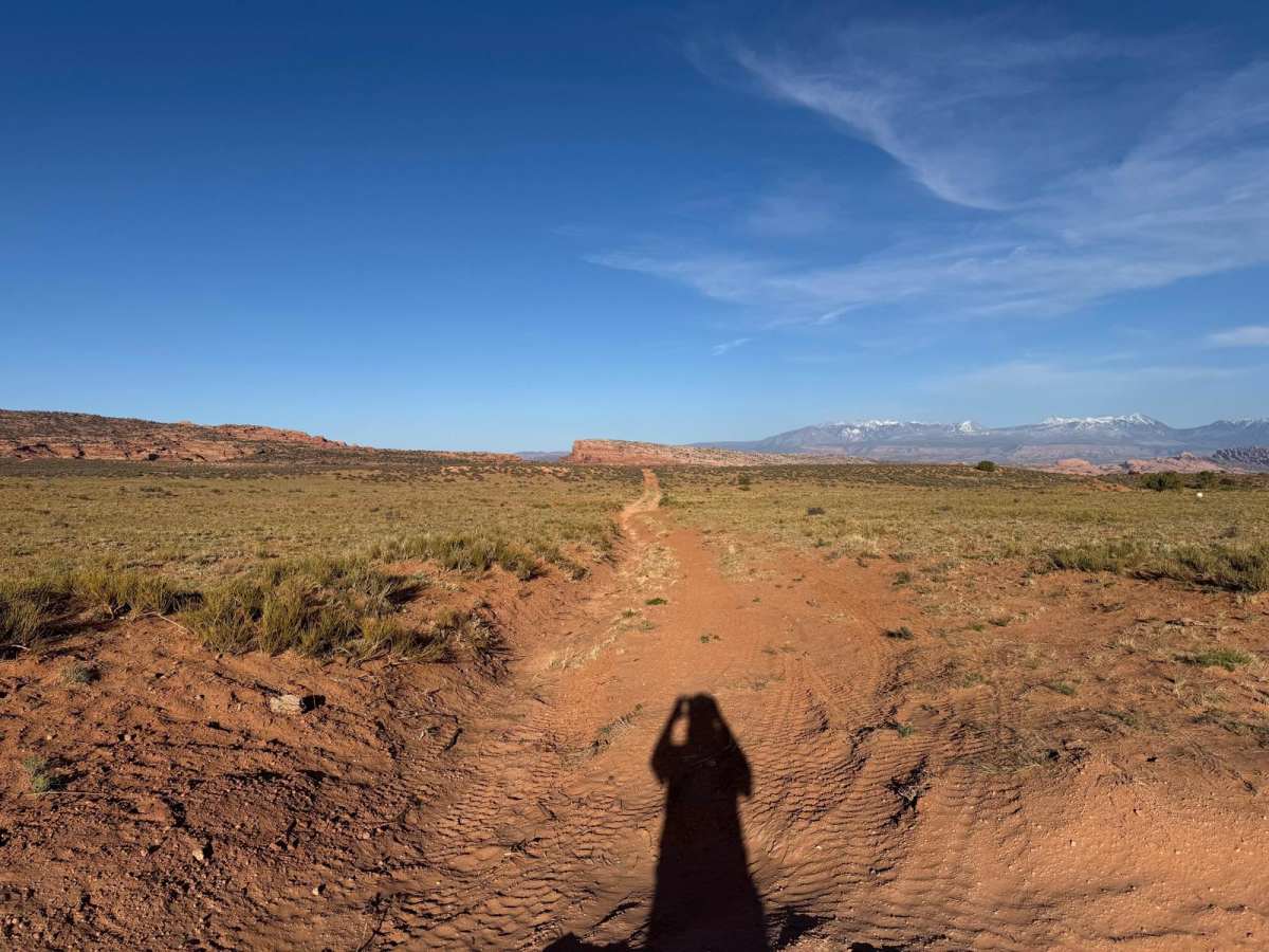 D1801b trail photo