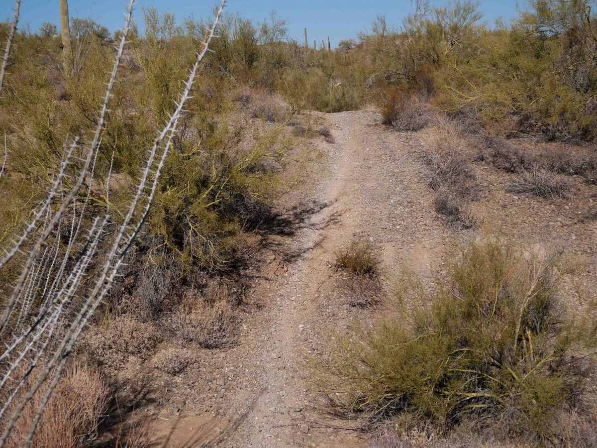 Boulders Trail photo 4