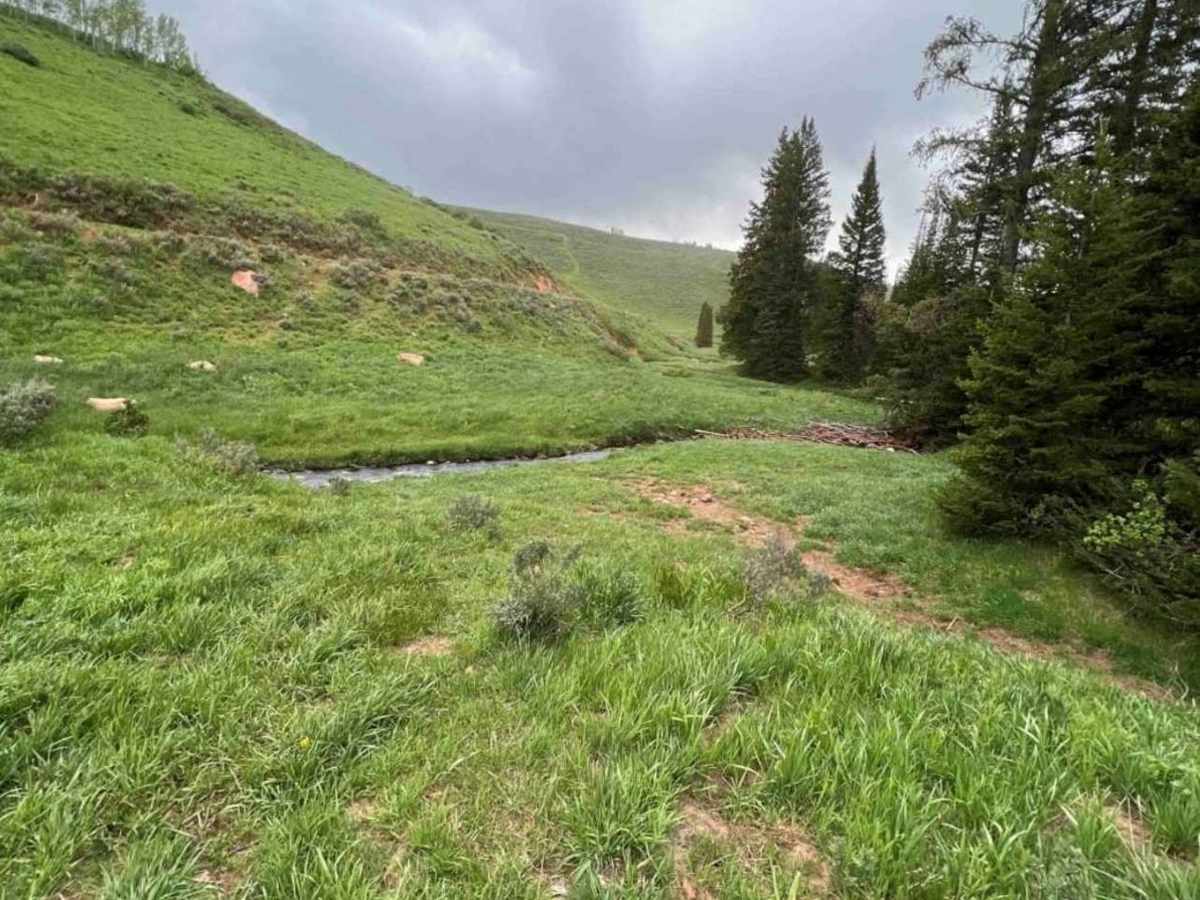 Big Springs photo 3