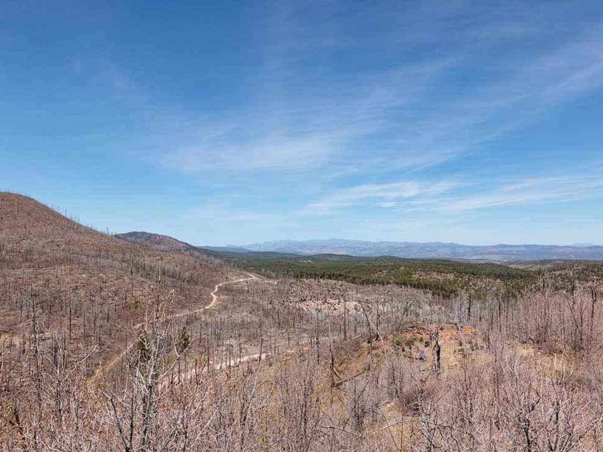 Signal Peak Road - FS 154 photo 6