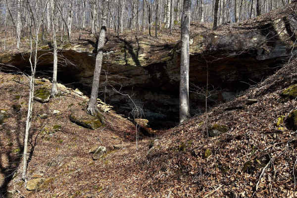 Arrington Branch Pass