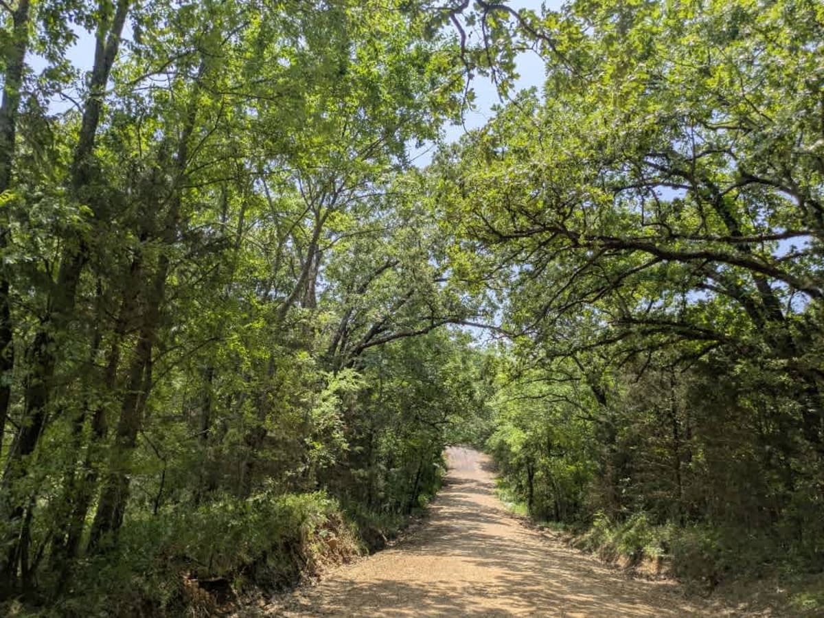 N4660 trail photo