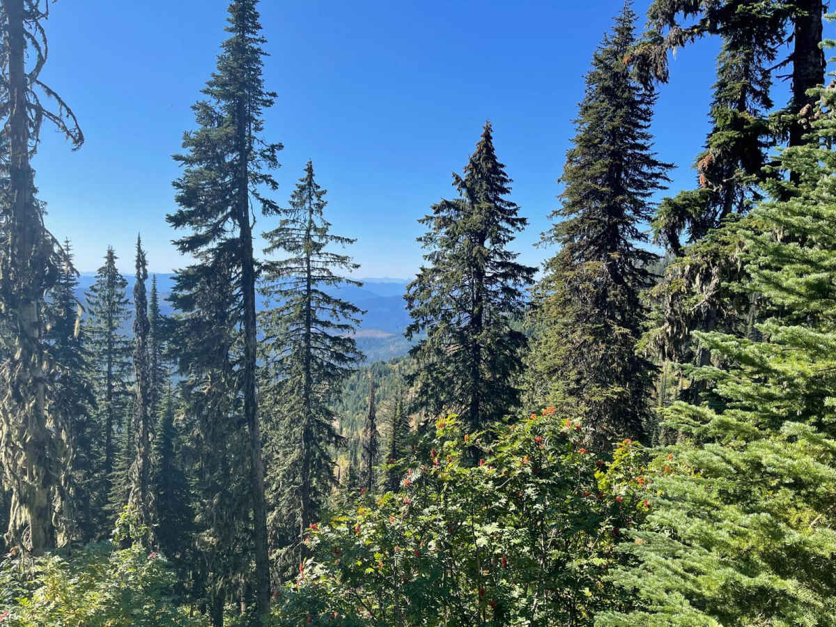Bald Mountain photo 3