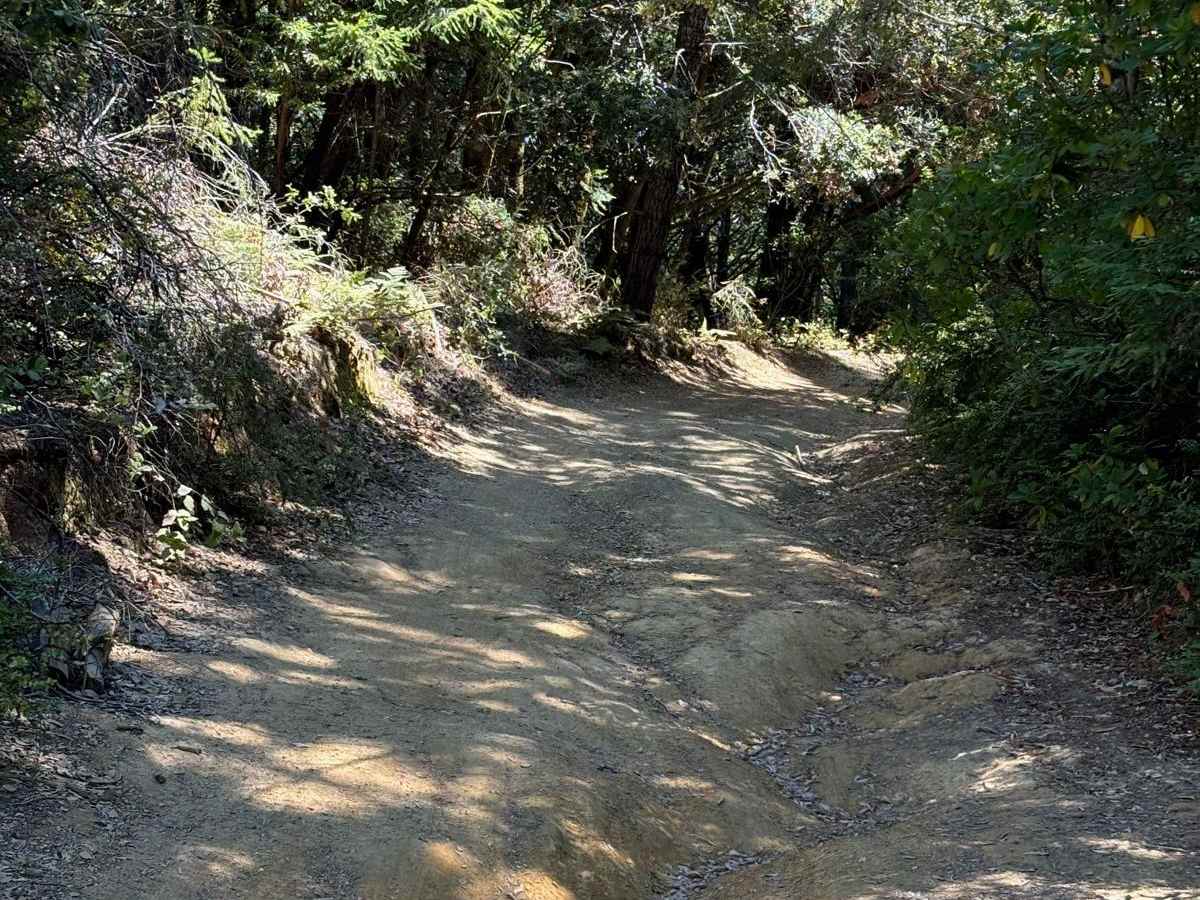 Usal Road (Northern Portion) photo 6