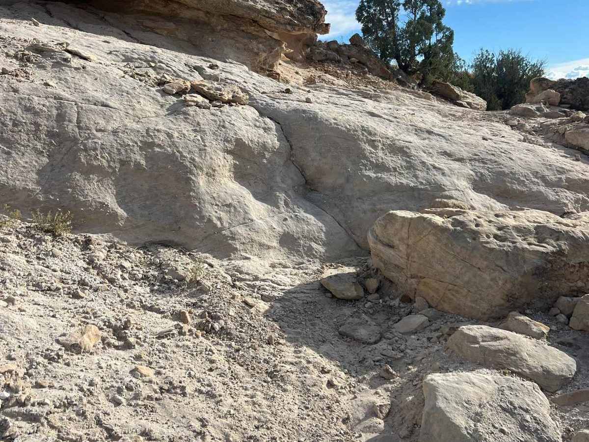 Sidewinder Trail photo 5