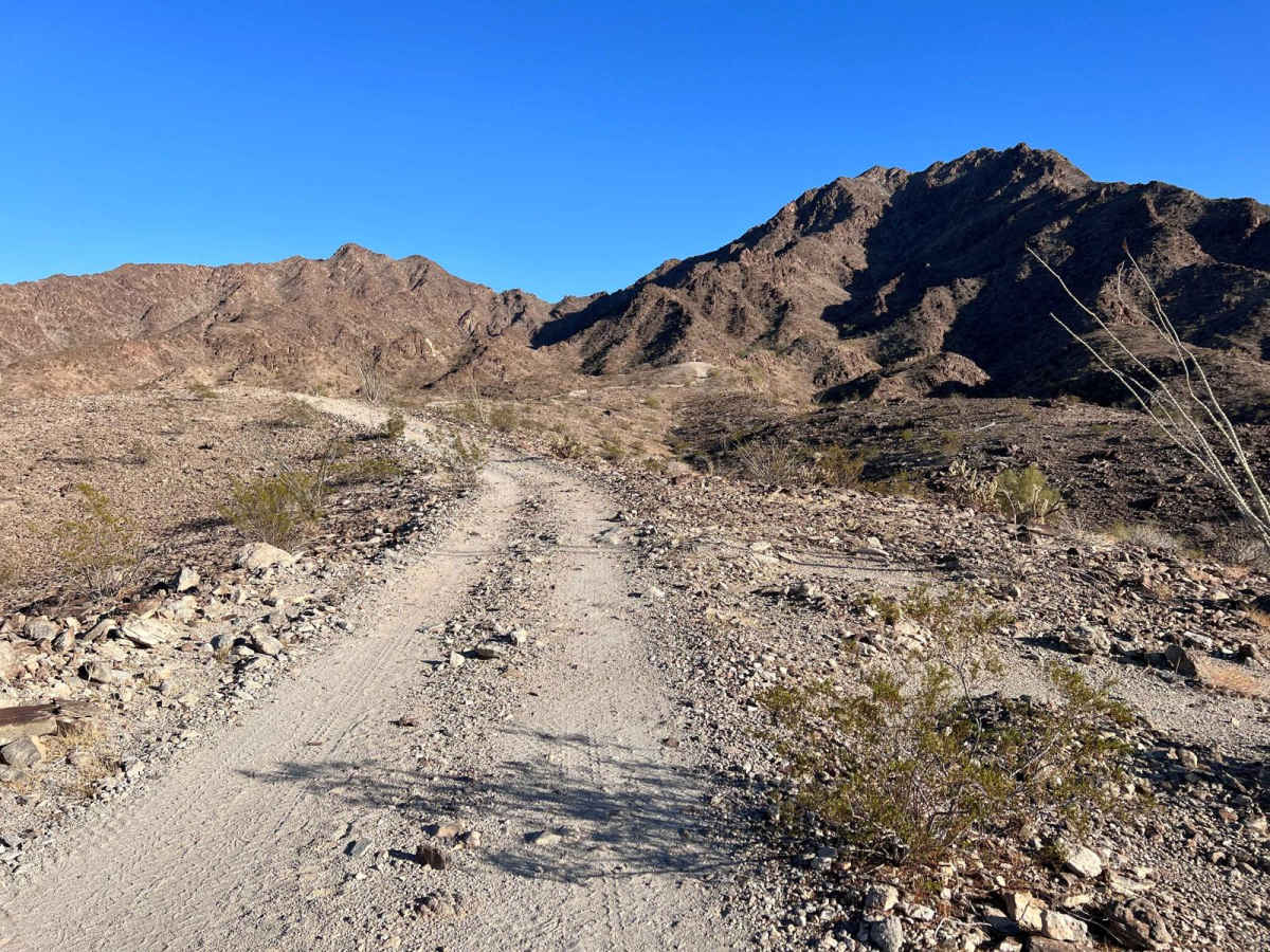 Squiggly Hiking Trail photo 2