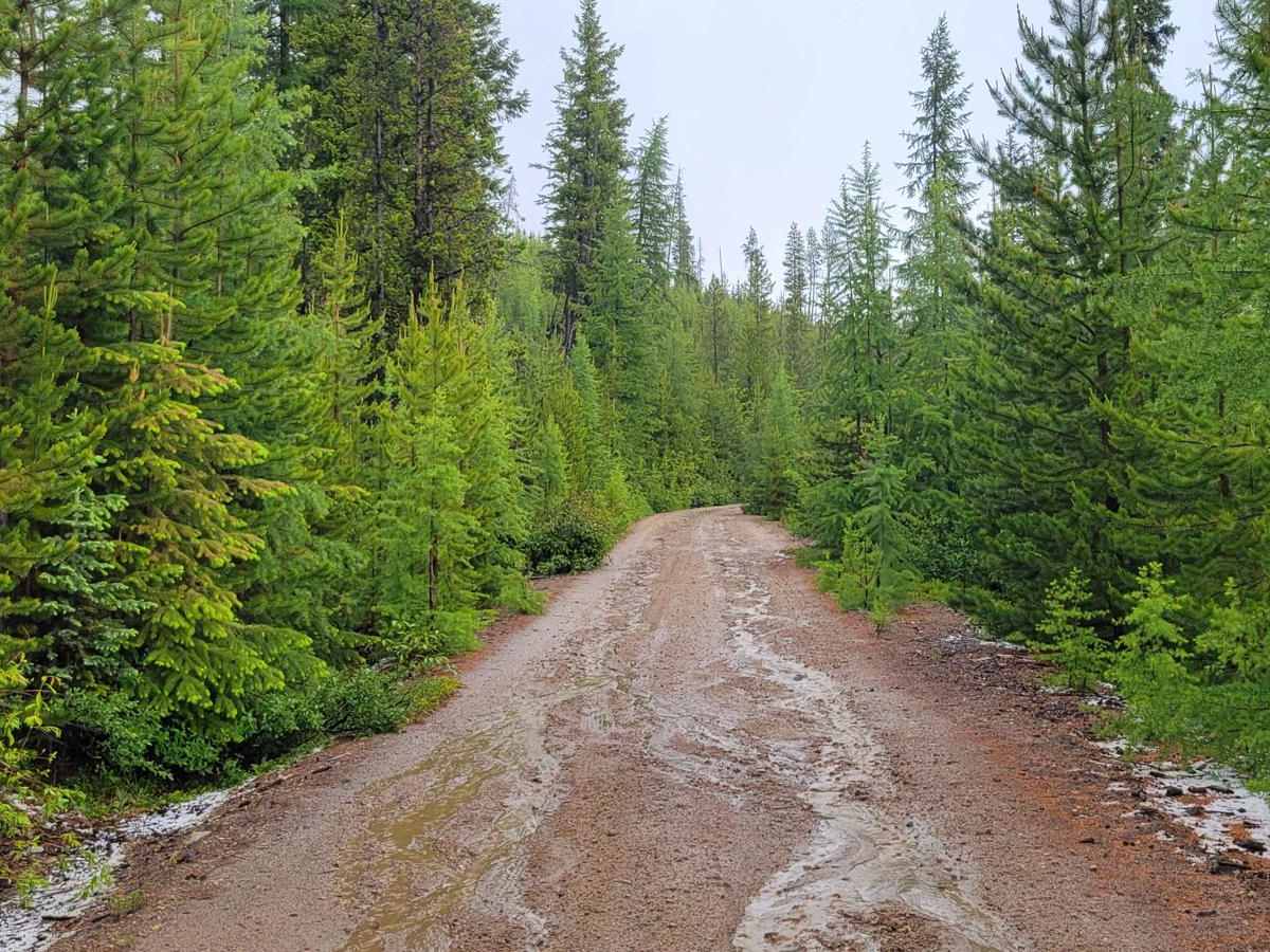NF 4235 - Starvation Mountain photo 2