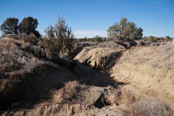 Casanova Mount Wash