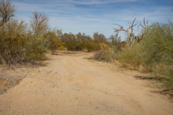 Parker Wash