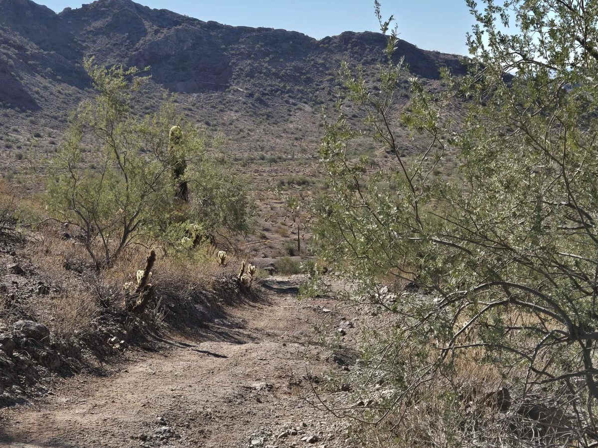 Round the Mountain Trail photo 6
