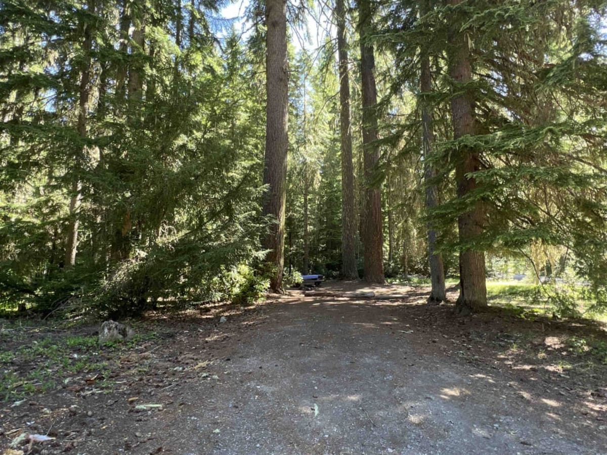 Clear Lake 2660 photo 6