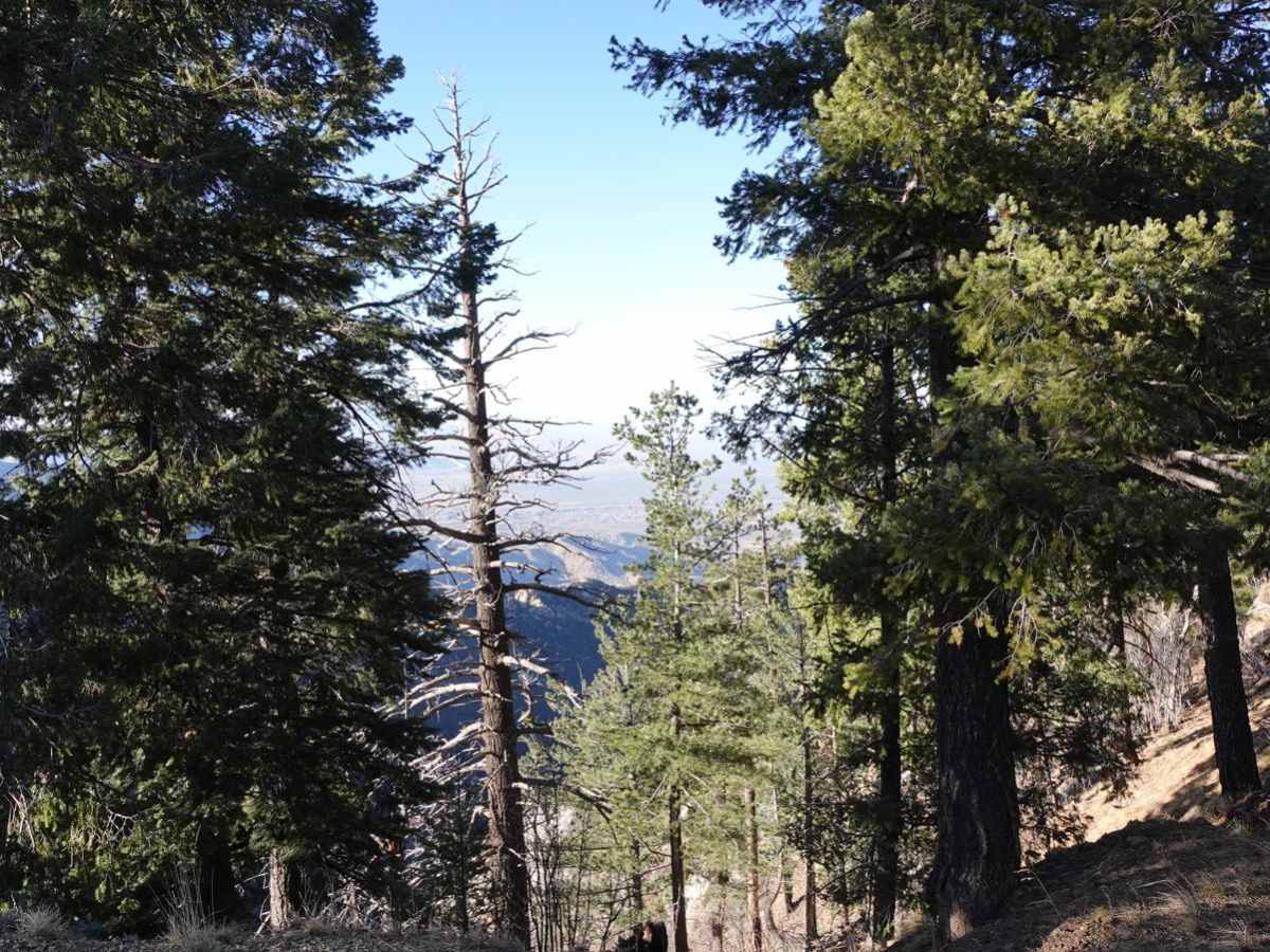 Clark Peak Loop photo 2