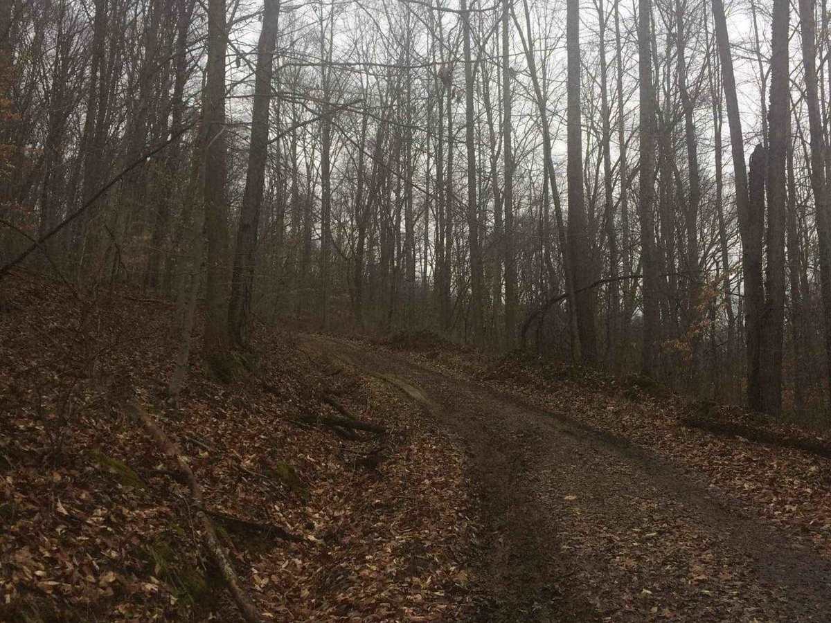 Dawley Cemetery trail photo