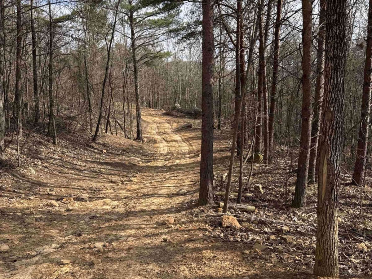 #2 Bluff Trail photo 2