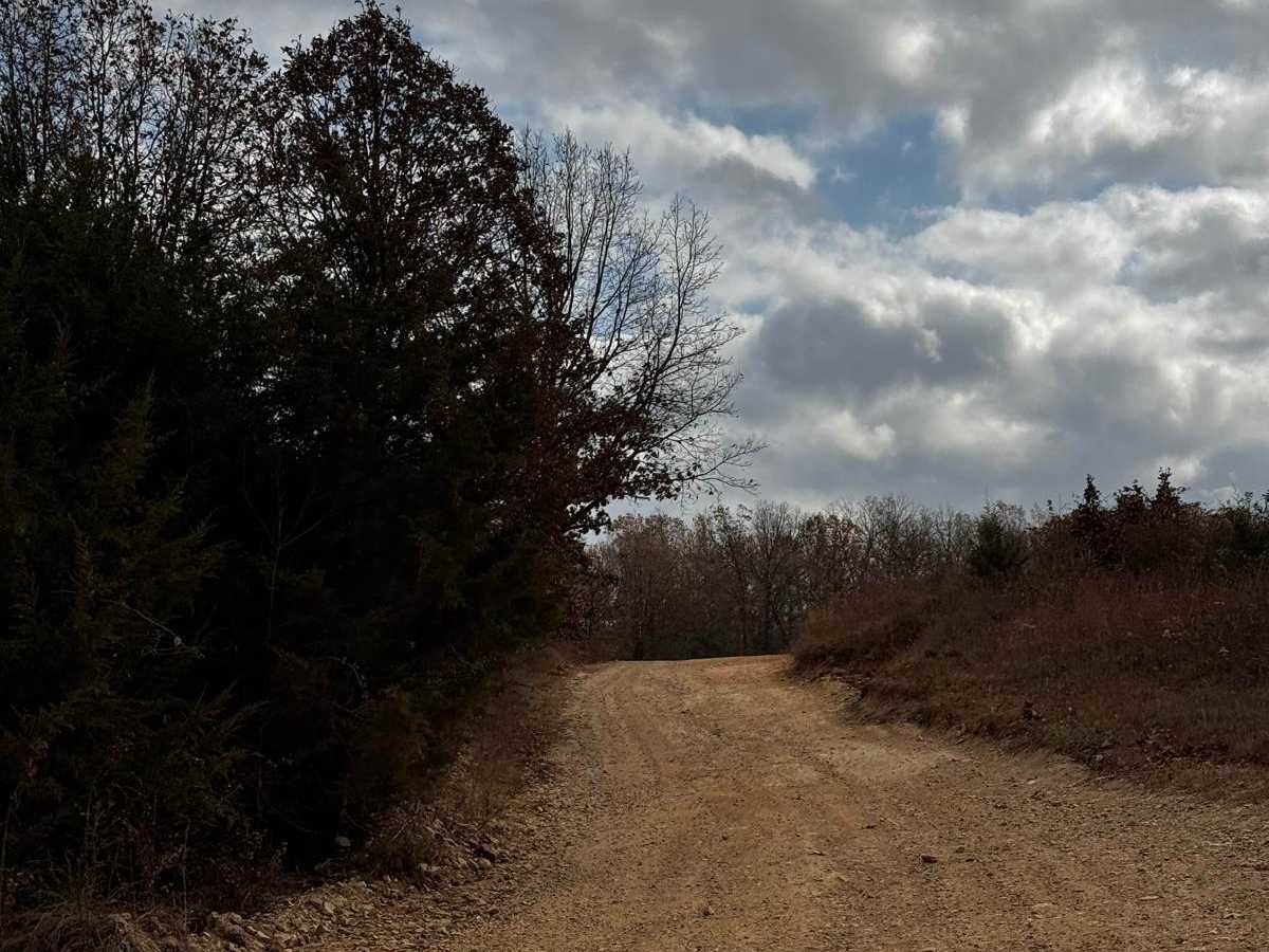 Main Park Entrance Trail photo 2