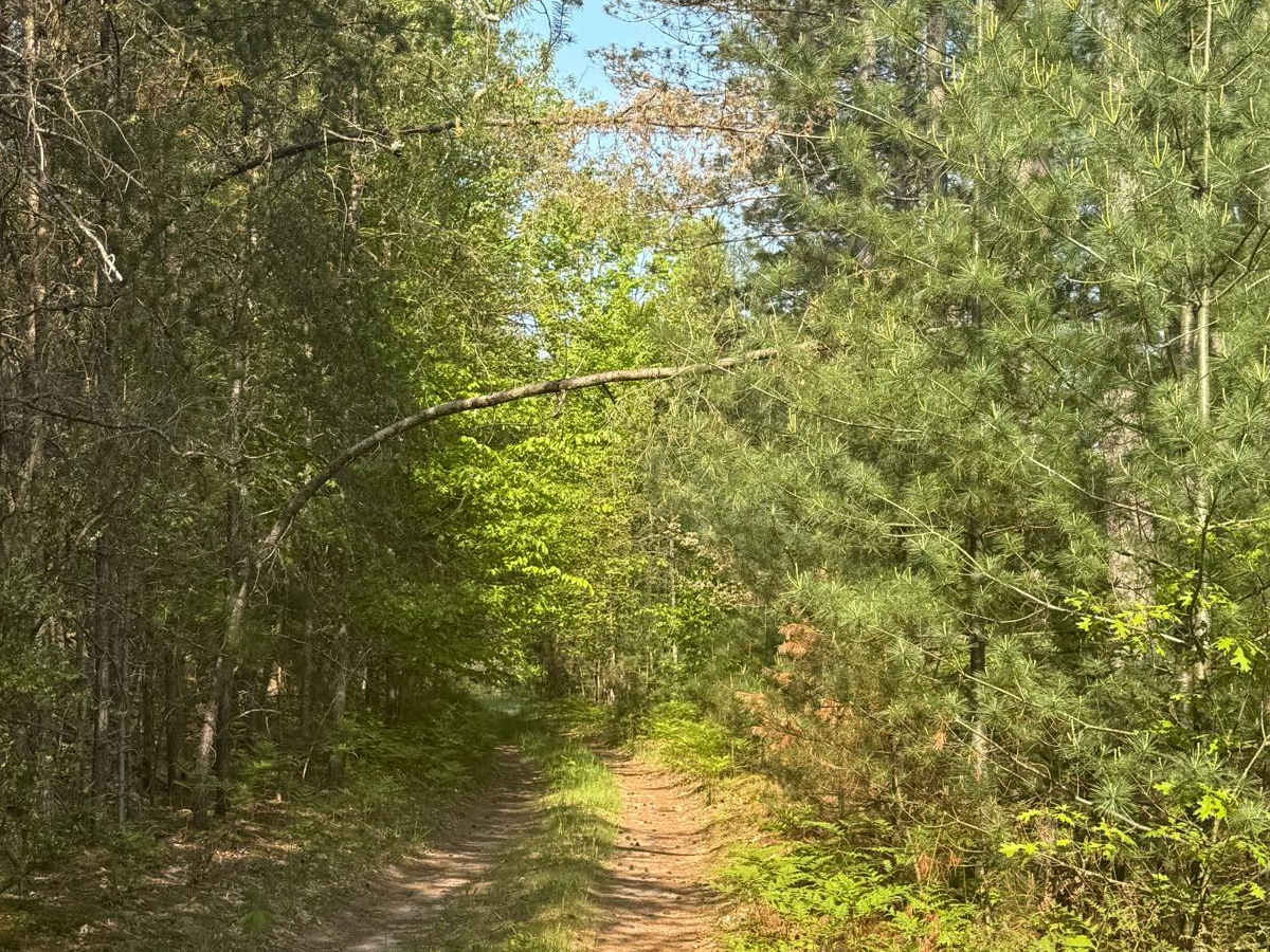 N-37 Trail photo 5