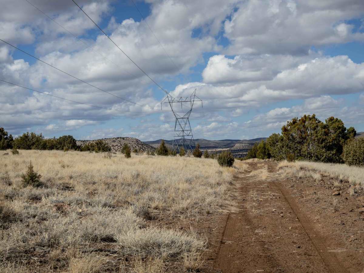 Powerline Problem photo 6