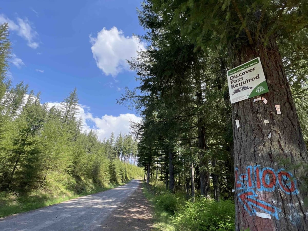 L-1100 trail photo