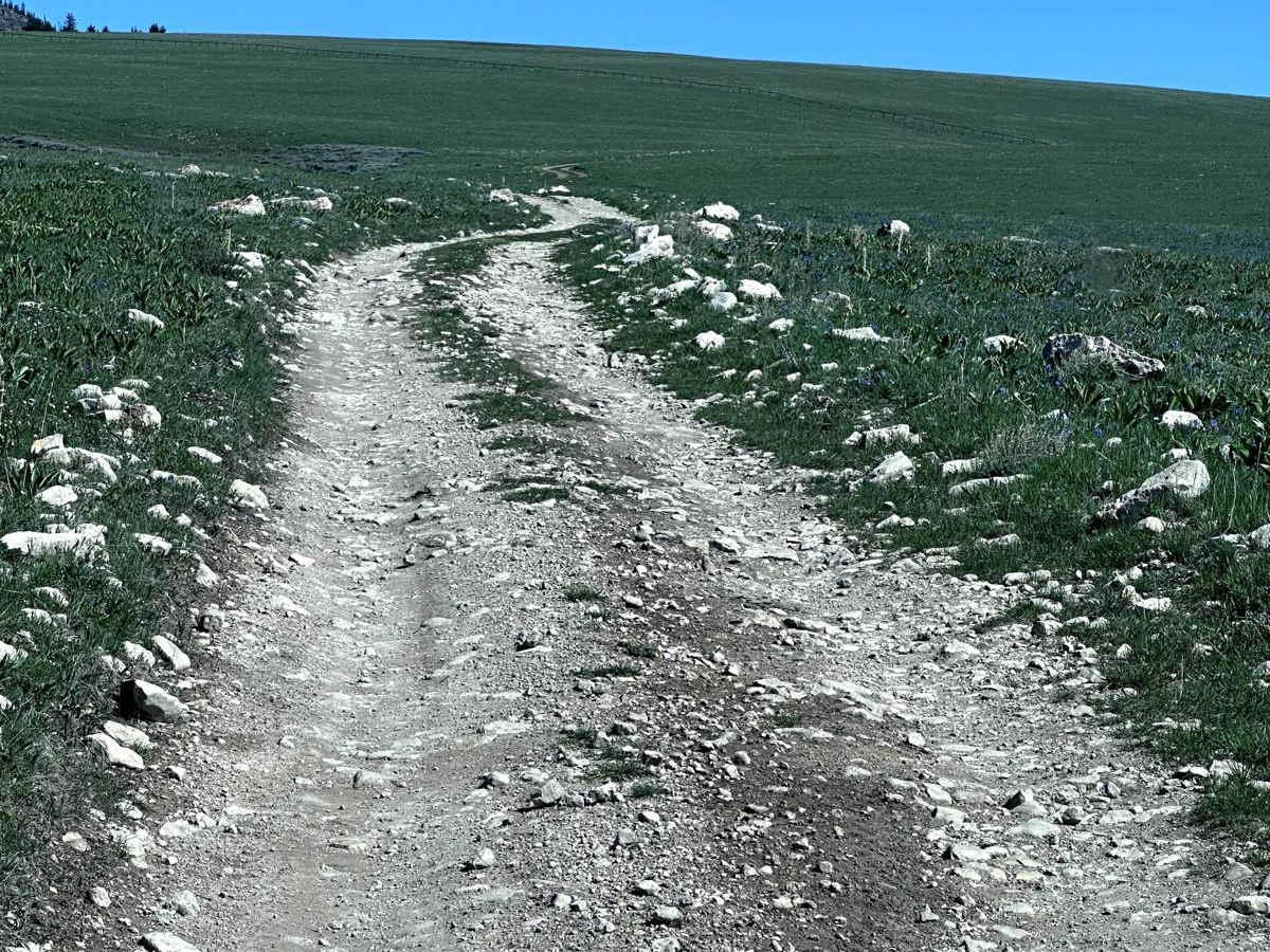 Bald Ridge - FSR 100 photo 5
