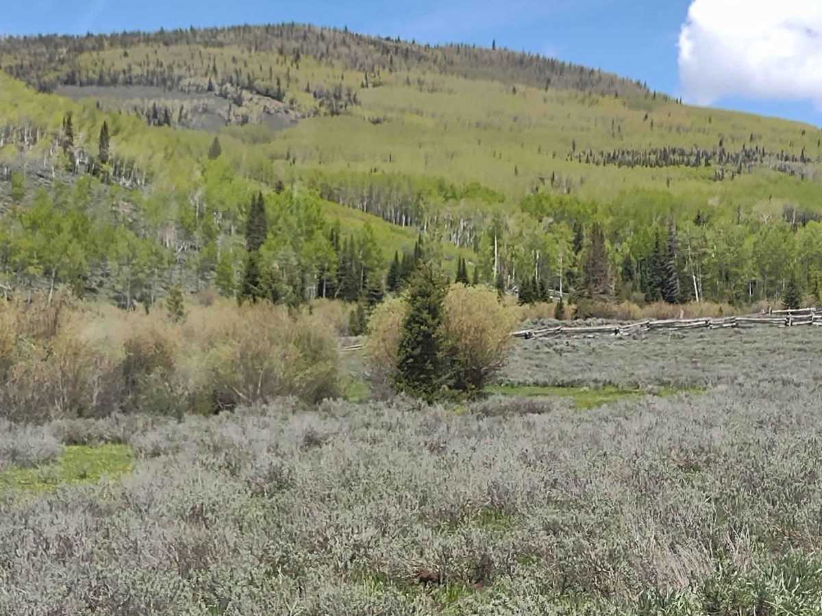Cove Mountain Road (FS# 40068) photo 5
