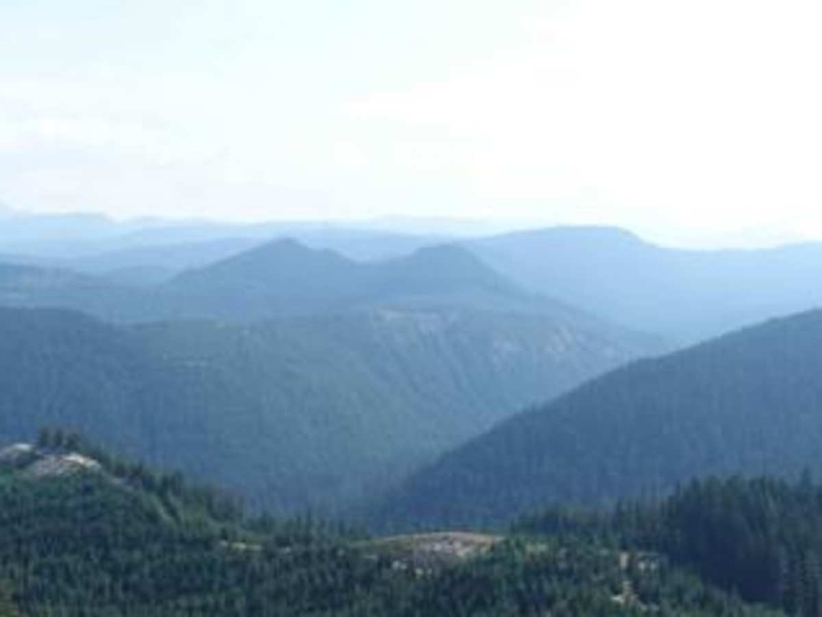 Greenwater/Naches Trail photo 3
