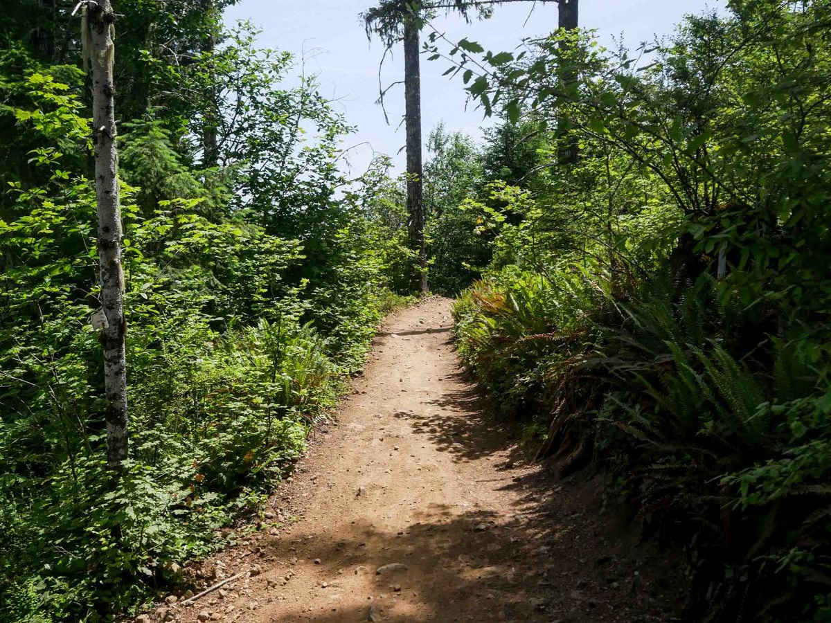 Rogers Camp Road #1 photo 2