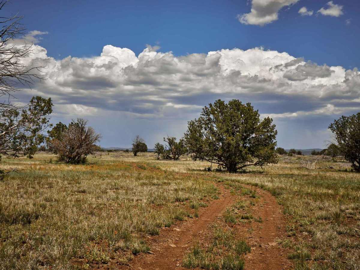 Prairie Loop photo 5