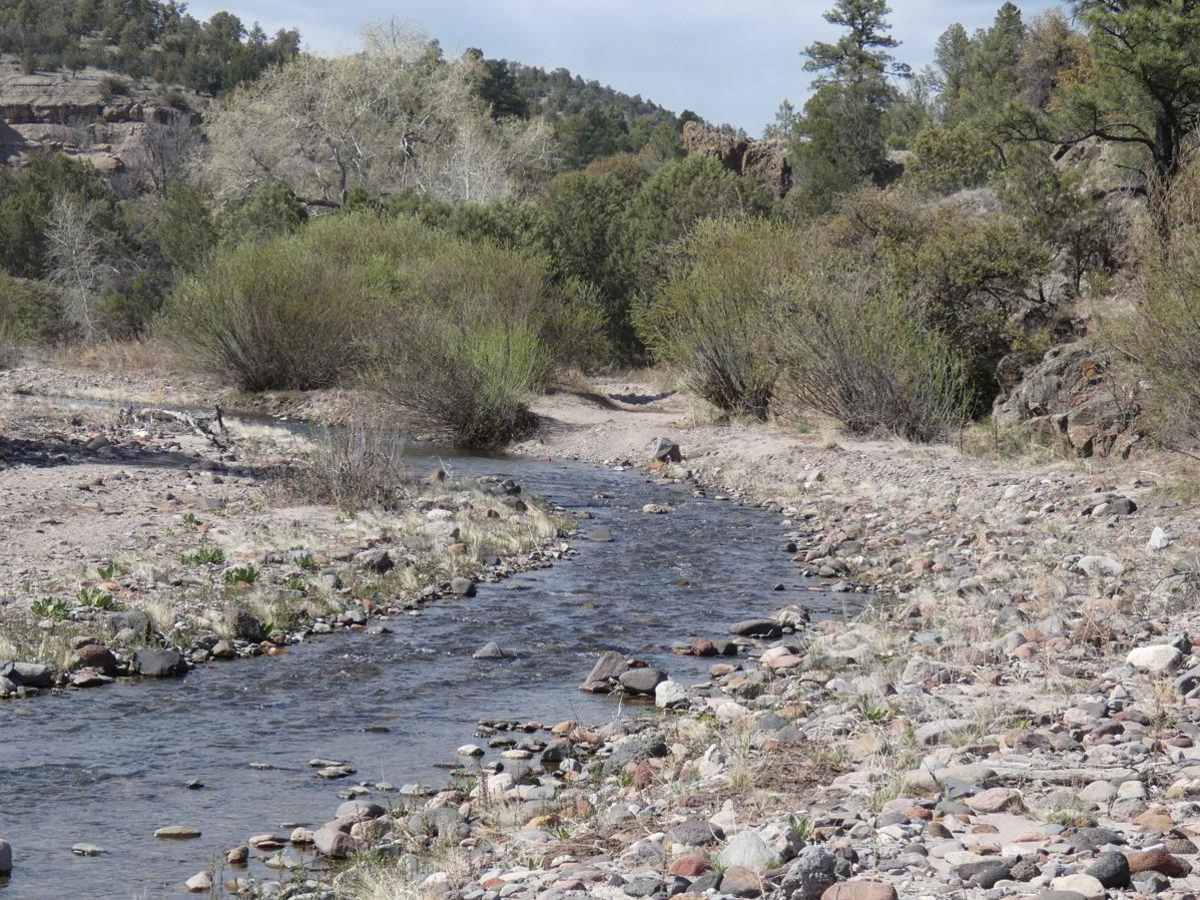 Mimbres River trail photo
