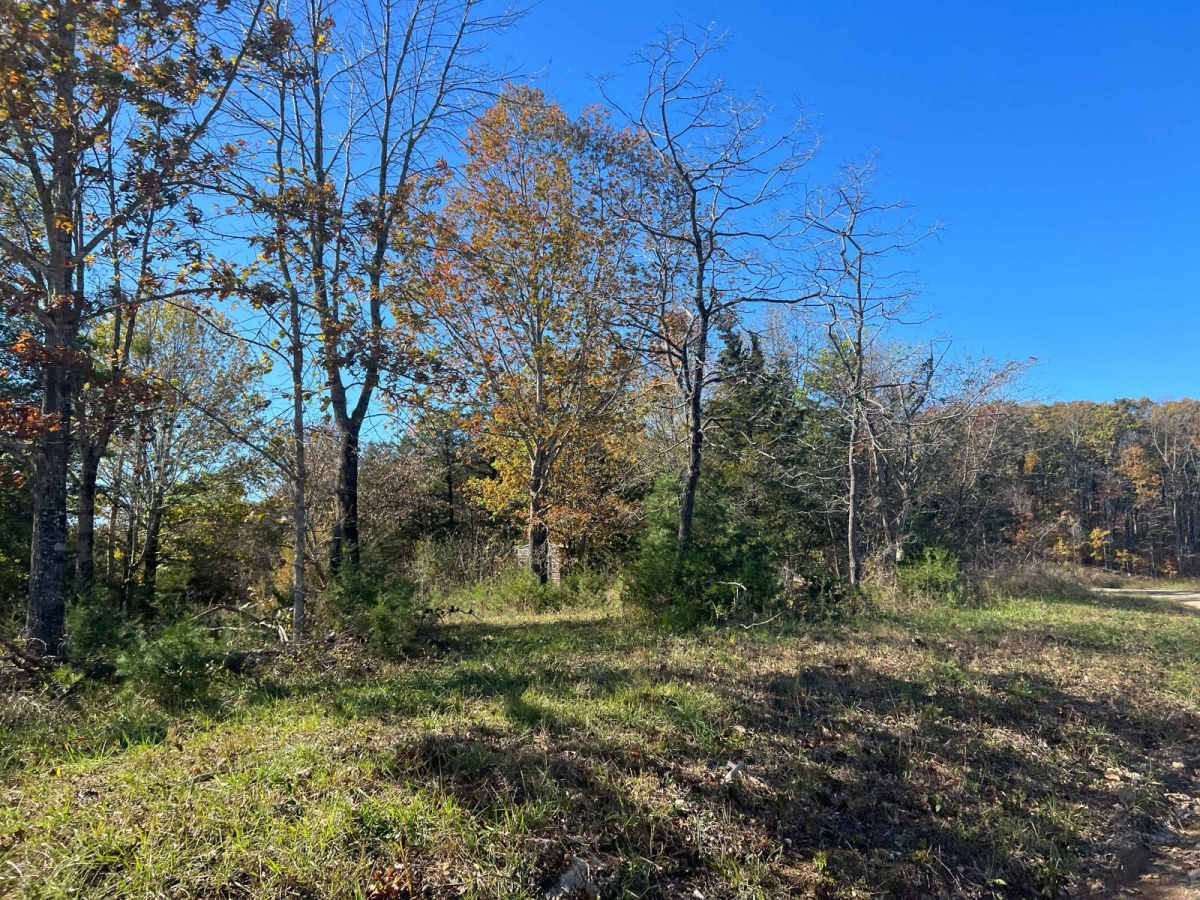 County Road 198 - FS272 photo 4
