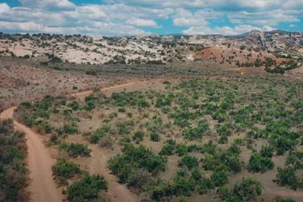 Red Mountain West Access-Vernal