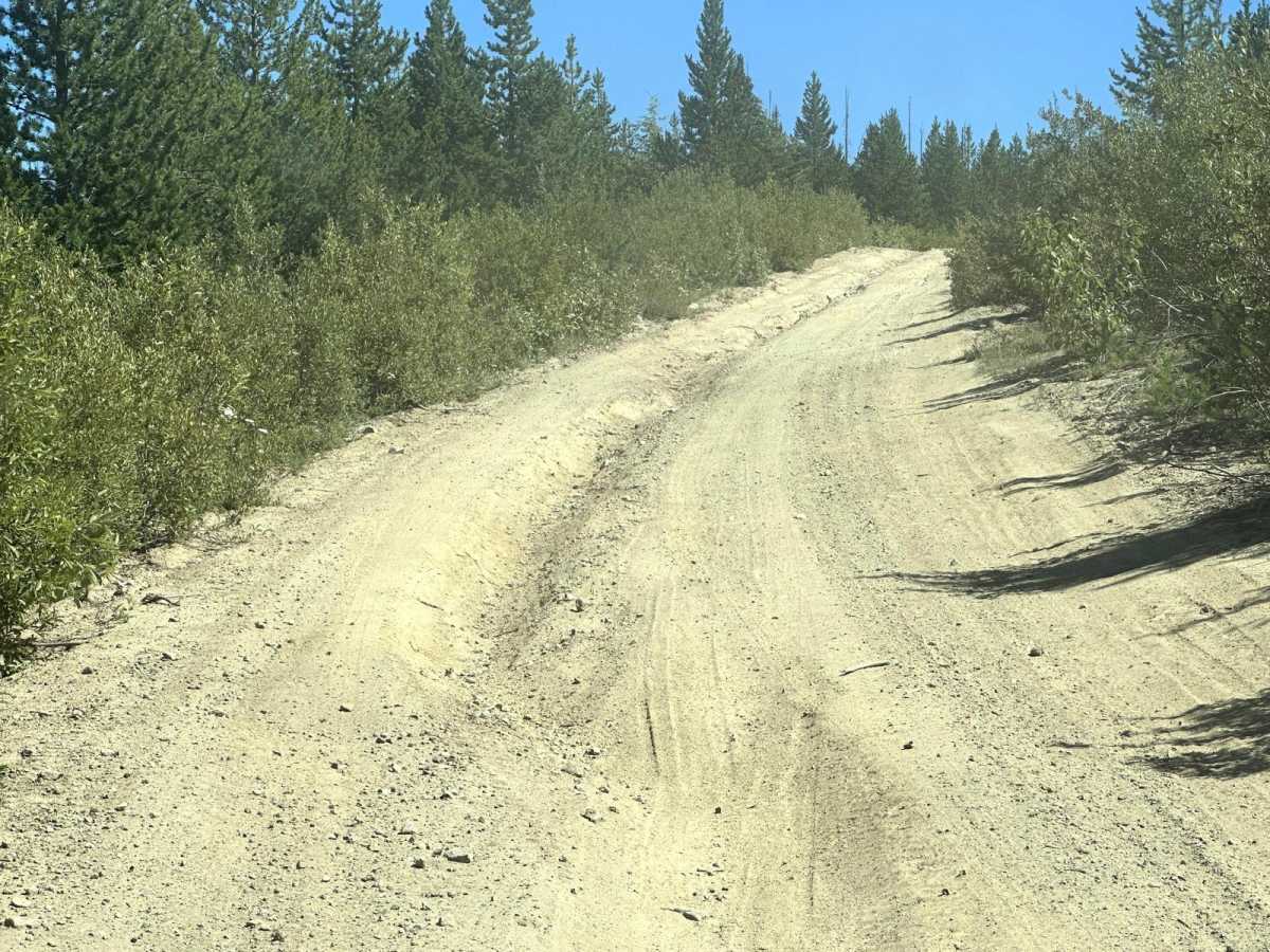 Entiat Ridge Trail photo 6