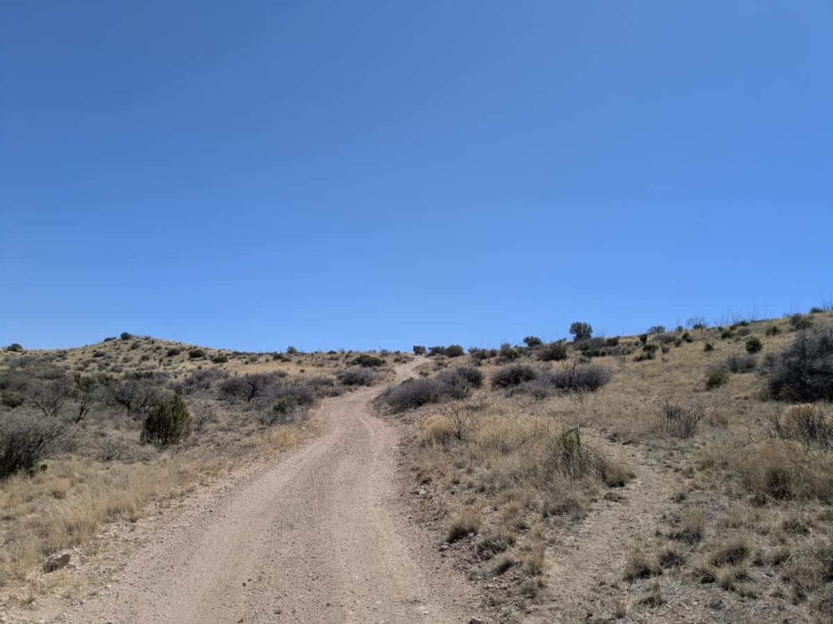 Blacktail Hill photo 3