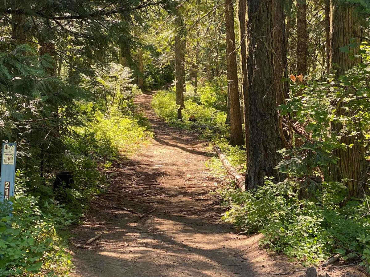 Wheelbarrow Mine trail photo