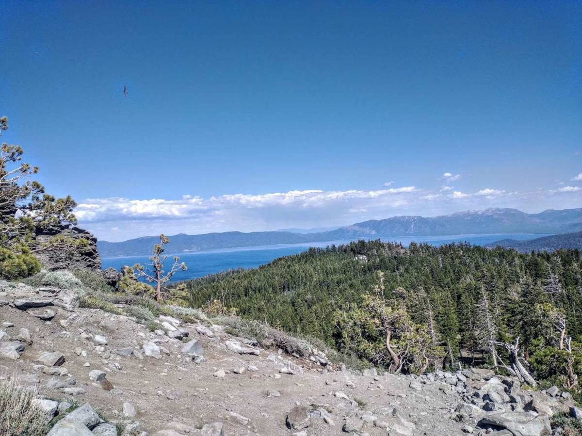 Ellis Peak OHV Trail trail photo