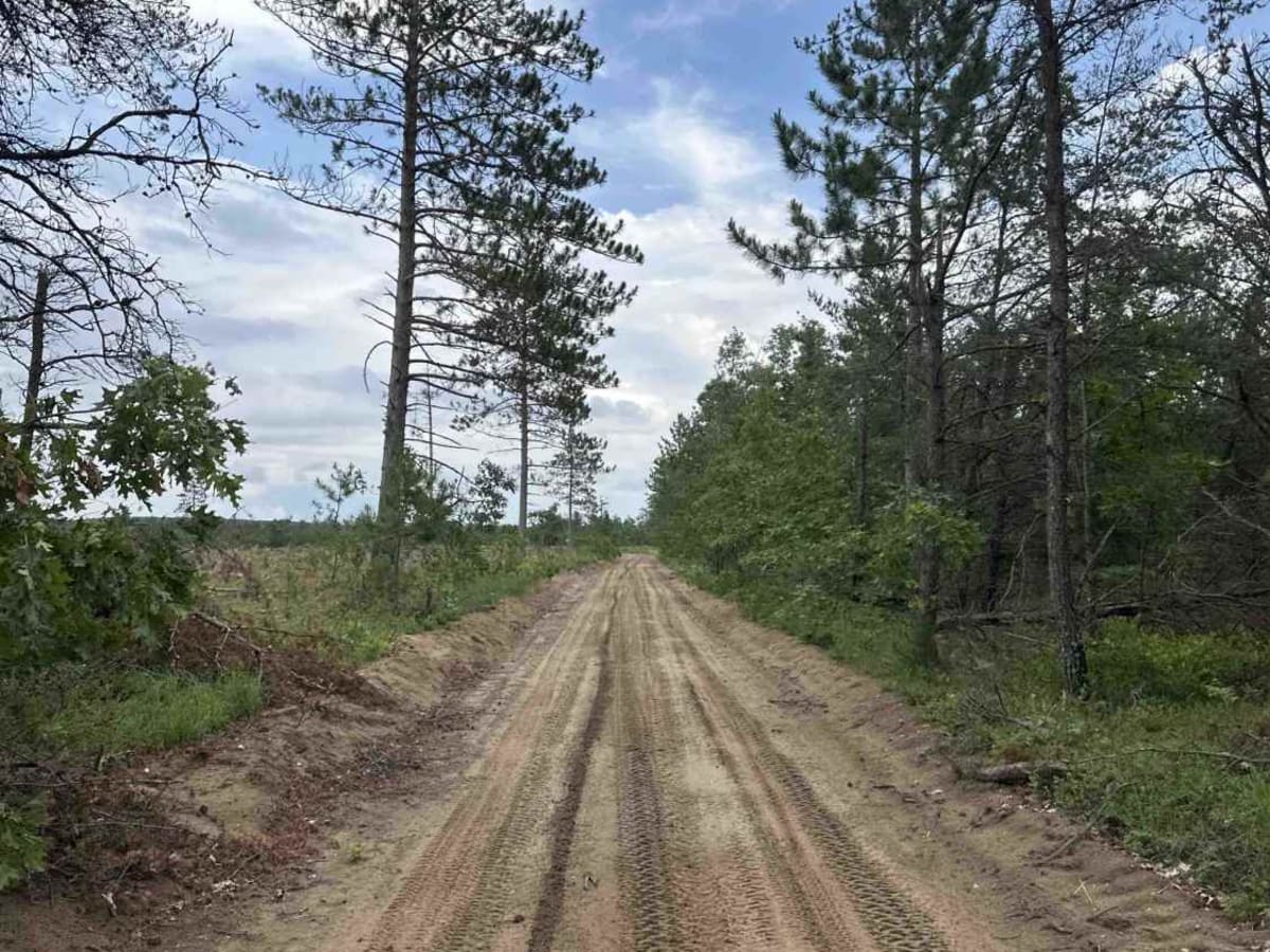 LP 9 to Elk Road photo 3