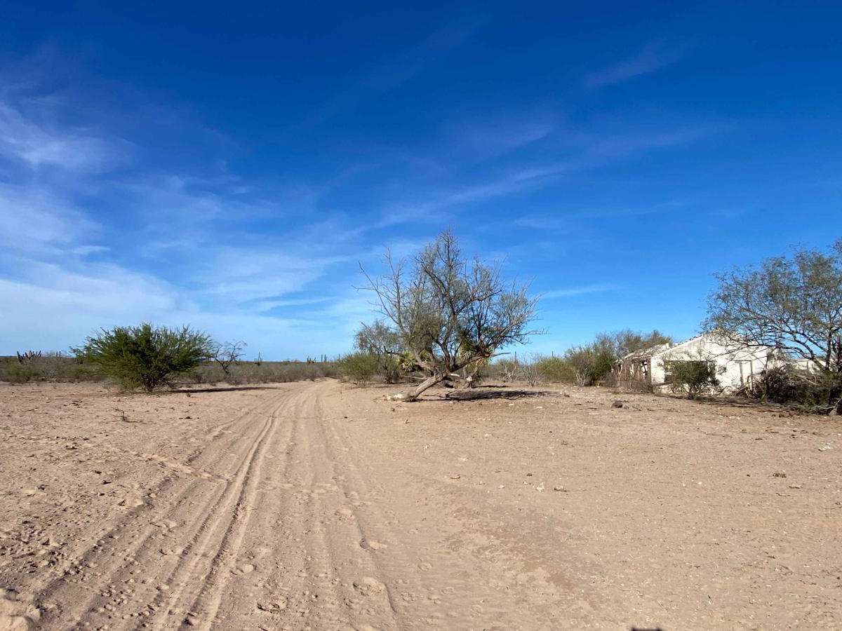 Dos Ranchos Loop photo 5