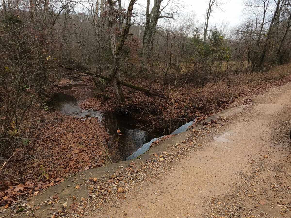 Wayne County Road 537 photo 6