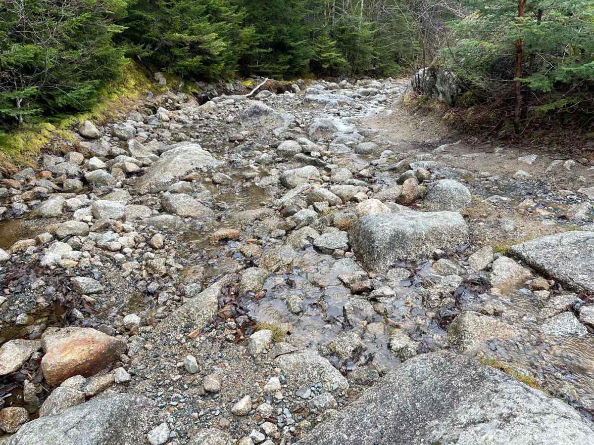 Pockwock Falls Trail photo 3