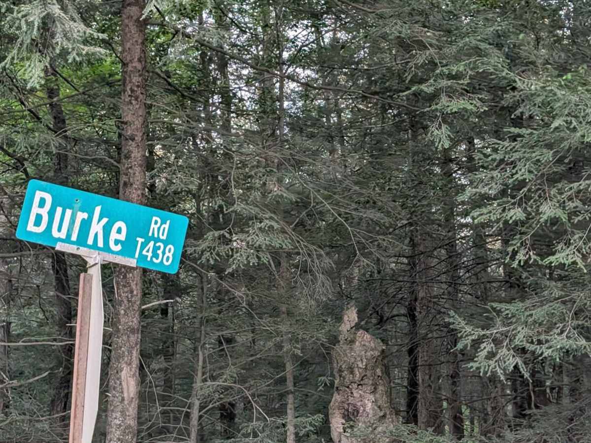 Burke Road trail photo