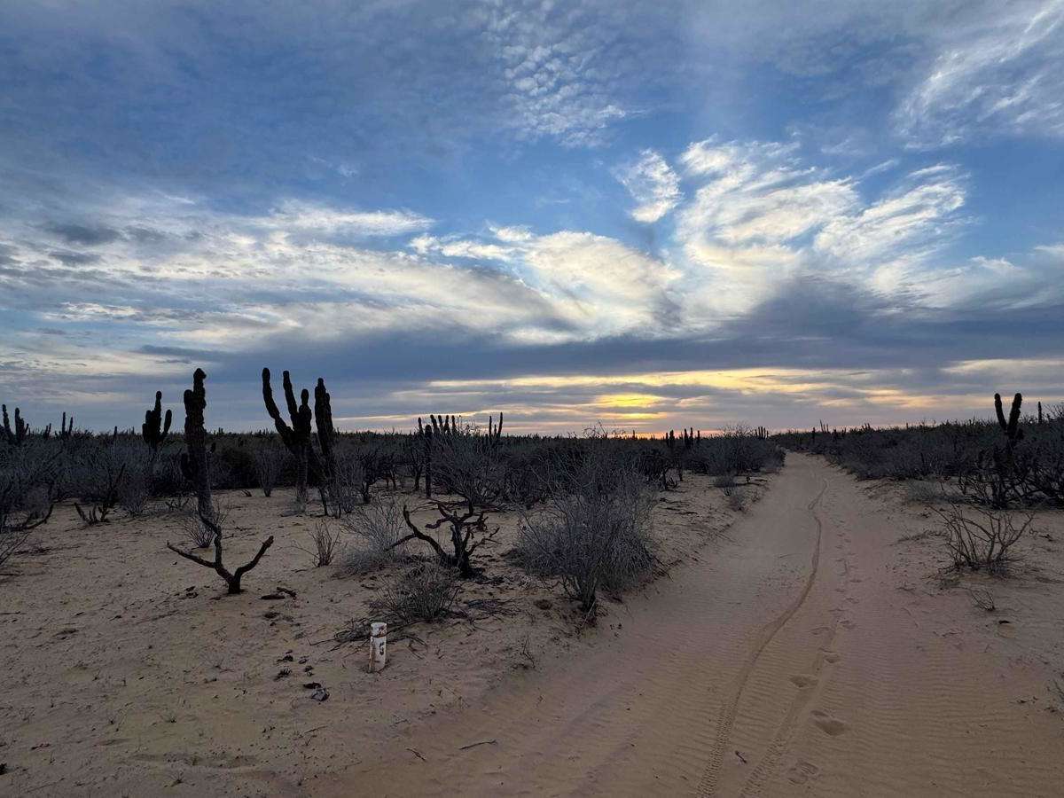 Magdelena Bay Crossover trail photo