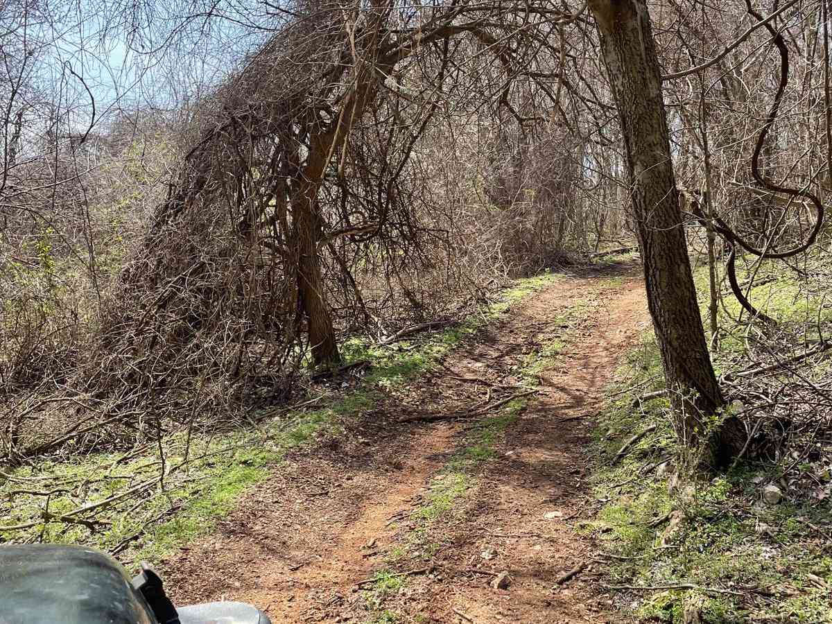 J&D Off-Road Park Chat Trail trail photo