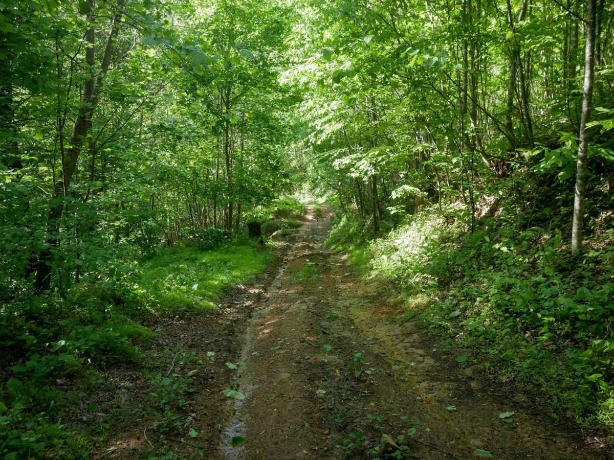 RV30 photo 3